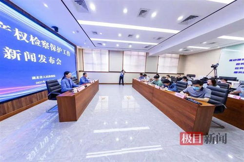 湖北通報知識產權檢察保護典型案例 侵權影片2200余部，8人因從事廣告業(yè)務獲刑